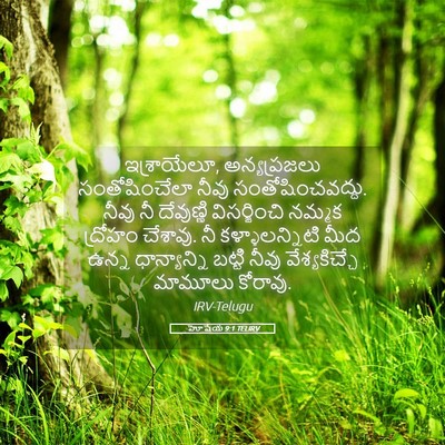 Picture 05 - హోషేయ 9:1 TELIRV - ఇశ్రాయేలూ, - Bible Verse Picture
