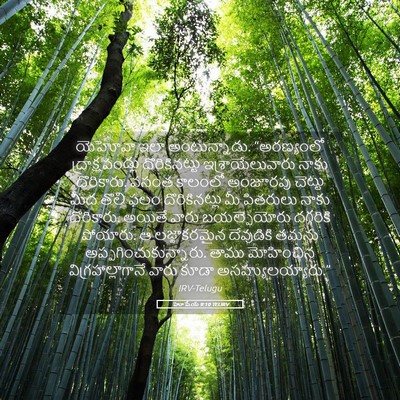 Picture 05 - హోషేయ 9:10 TELIRV - యెహోవా ఇలా - Bible Verse Picture