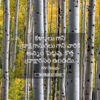 Picture 05 - హోషేయ 9:2 TELIRV - కళ్ళాలు గాని - Bible Verse Picture