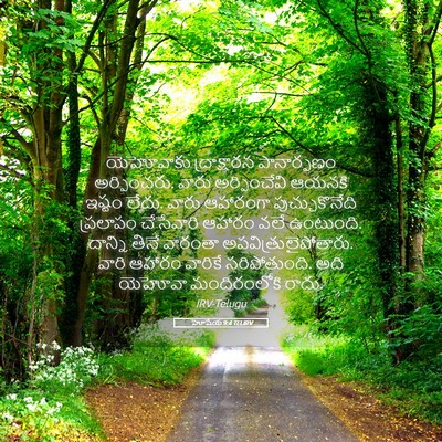 Picture 05 - హోషేయ 9:4 TELIRV - యెహోవాకు - Bible Verse Picture