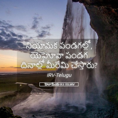 Picture 05 - హోషేయ 9:5 TELIRV - నియామక పండగల్లో, - Bible Verse Picture