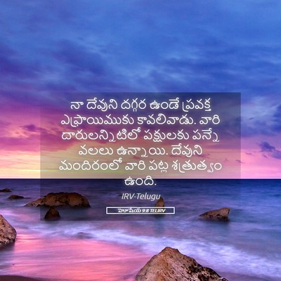 Picture 05 - హోషేయ 9:8 TELIRV - నా దేవుని దగ్గర - Bible Verse Picture