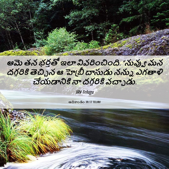 ఆదికాండం 39:17 TELIRV - ఆమె తన భర్తతో ఇలా