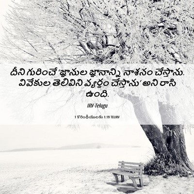Picture 06 - 1 కొరింథీయులకు 1:19 TELIRV - దీని గురించే - Bible Verse Picture