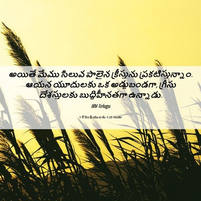 Picture 06 - 1 కొరింథీయులకు 1:23 TELIRV - అయితే మేము సిలువ - Bible Verse Picture