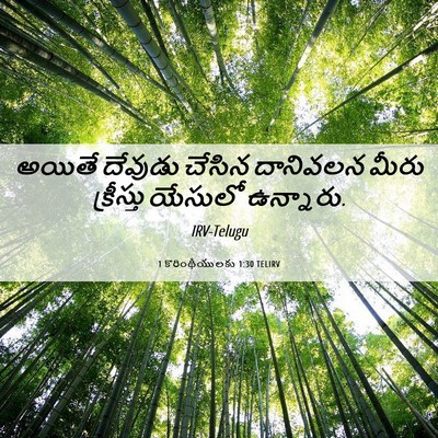 Picture 06 - 1 కొరింథీయులకు 1:30 TELIRV - అయితే దేవుడు - Bible Verse Picture
