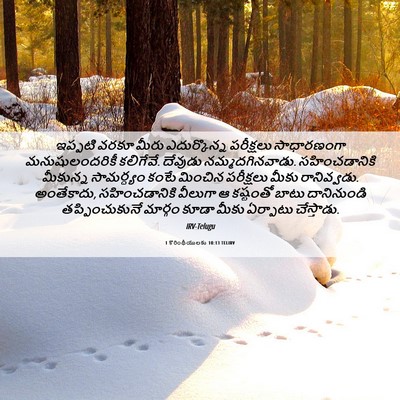Picture 06 - 1 కొరింథీయులకు 10:13 TELIRV - ఇప్పటి వరకూ మీరు - Bible Verse Picture