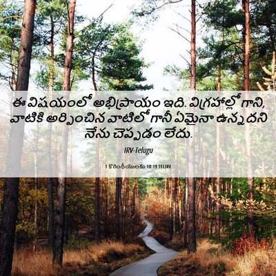 Picture 06 - 1 కొరింథీయులకు 10:19 TELIRV - ఈ విషయంలో - Bible Verse Picture