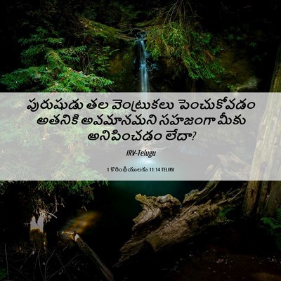 Picture 06 - 1 కొరింథీయులకు 11:14 TELIRV - పురుషుడు తల - Bible Verse Picture