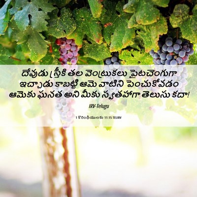Picture 06 - 1 కొరింథీయులకు 11:15 TELIRV - దేవుడు స్త్రీకి - Bible Verse Picture