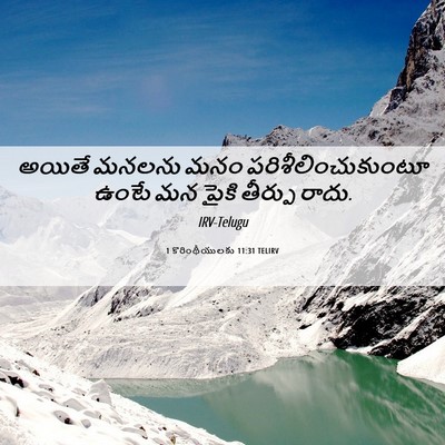 Picture 06 - 1 కొరింథీయులకు 11:31 TELIRV - అయితే మనలను మనం - Bible Verse Picture