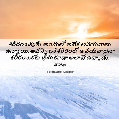 Picture 06 - 1 కొరింథీయులకు 12:12 TELIRV - శరీరం ఒక్కటే, - Bible Verse Picture