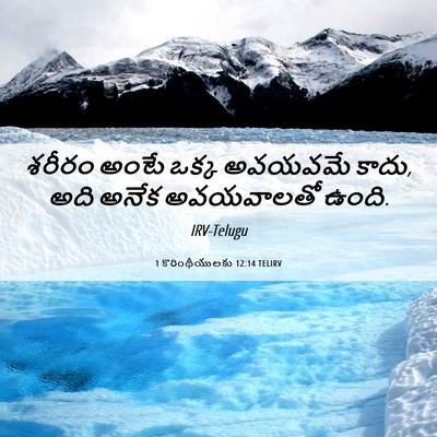 Picture 06 - 1 కొరింథీయులకు 12:14 TELIRV - శరీరం అంటే ఒక్క - Bible Verse Picture