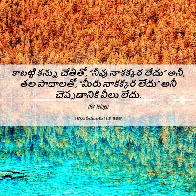 Picture 06 - 1 కొరింథీయులకు 12:21 TELIRV - కాబట్టి కన్ను - Bible Verse Picture