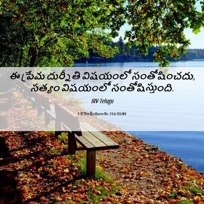 Picture 06 - 1 కొరింథీయులకు 13:6 TELIRV - ఈ ప్రేమ దుర్నీతి - Bible Verse Picture