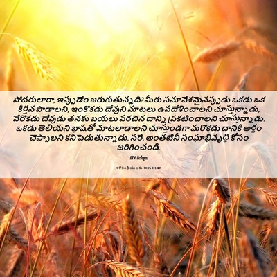 Picture 06 - 1 కొరింథీయులకు 14:26 TELIRV - సోదరులారా, - Bible Verse Picture