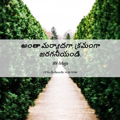 Picture 06 - 1 కొరింథీయులకు 14:40 TELIRV - అంతా మర్యాదగా, - Bible Verse Picture
