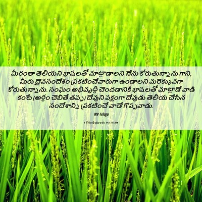 Picture 06 - 1 కొరింథీయులకు 14:5 TELIRV - మీరంతా తెలియని - Bible Verse Picture