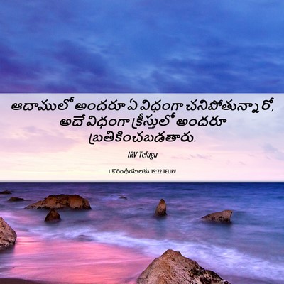 Picture 06 - 1 కొరింథీయులకు 15:22 TELIRV - ఆదాములో అందరూ ఏ - Bible Verse Picture