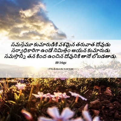 Picture 06 - 1 కొరింథీయులకు 15:28 TELIRV - సమస్తమూ - Bible Verse Picture