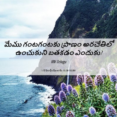 Picture 06 - 1 కొరింథీయులకు 15:30 TELIRV - మేము గంటగంటకు - Bible Verse Picture