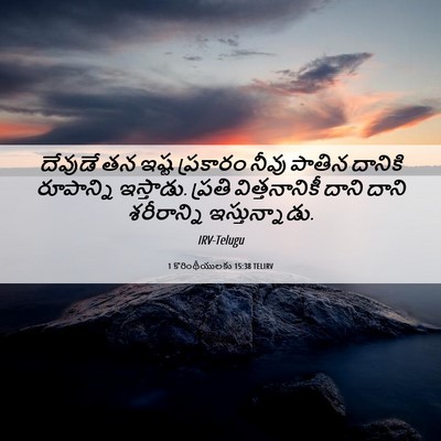 Picture 06 - 1 కొరింథీయులకు 15:38 TELIRV - దేవుడే తన ఇష్ట - Bible Verse Picture