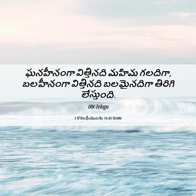 Picture 06 - 1 కొరింథీయులకు 15:43 TELIRV - ఘనహీనంగా - Bible Verse Picture