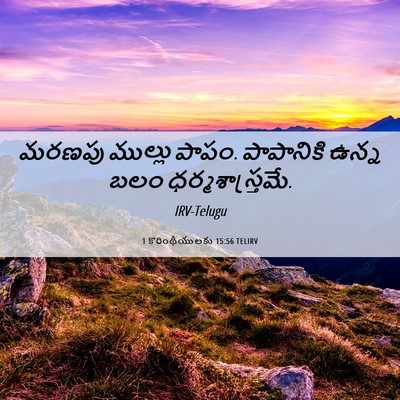 Picture 06 - 1 కొరింథీయులకు 15:56 TELIRV - మరణపు ముల్లు పాపం. - Bible Verse Picture