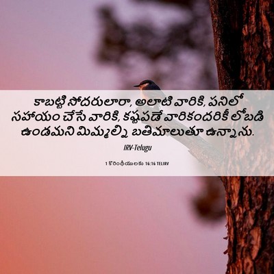 Picture 06 - 1 కొరింథీయులకు 16:16 TELIRV - కాబట్టి - Bible Verse Picture