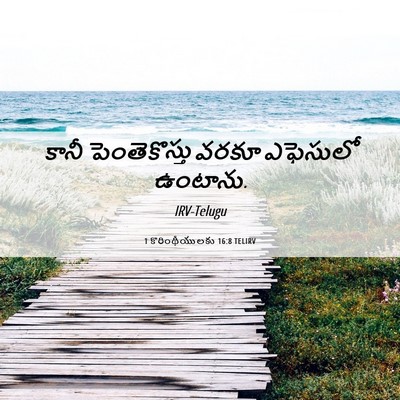 Picture 06 - 1 కొరింథీయులకు 16:8 TELIRV - కానీ పెంతెకొస్తు - Bible Verse Picture
