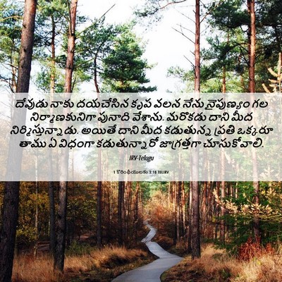 Picture 06 - 1 కొరింథీయులకు 3:10 TELIRV - దేవుడు నాకు - Bible Verse Picture