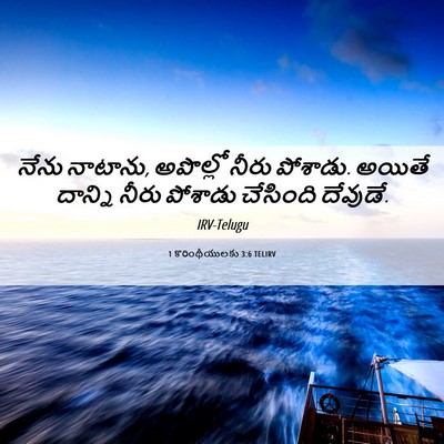 Picture 06 - 1 కొరింథీయులకు 3:6 TELIRV - నేను నాటాను, - Bible Verse Picture