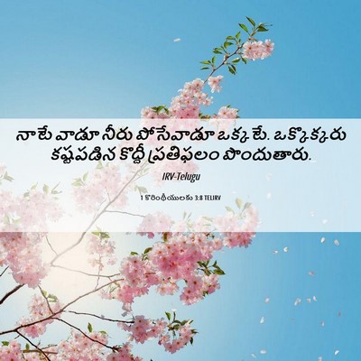 Picture 06 - 1 కొరింథీయులకు 3:8 TELIRV - నాటే వాడూ నీరు - Bible Verse Picture