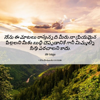 Picture 06 - 1 కొరింథీయులకు 4:14 TELIRV - నేను ఈ మాటలు - Bible Verse Picture
