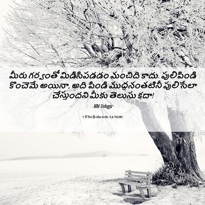 Picture 06 - 1 కొరింథీయులకు 5:6 TELIRV - మీరు గర్వంతో - Bible Verse Picture