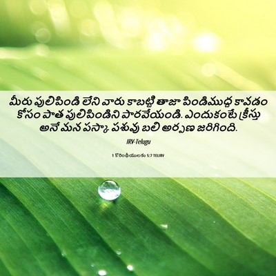 Picture 06 - 1 కొరింథీయులకు 5:7 TELIRV - మీరు పులిపిండి - Bible Verse Picture