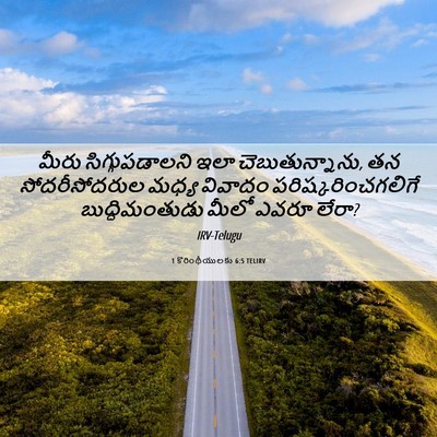 Picture 06 - 1 కొరింథీయులకు 6:5 TELIRV - మీరు సిగ్గుపడాలని - Bible Verse Picture