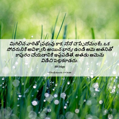 Picture 06 - 1 కొరింథీయులకు 7:12 TELIRV - మిగిలిన వారితో - Bible Verse Picture