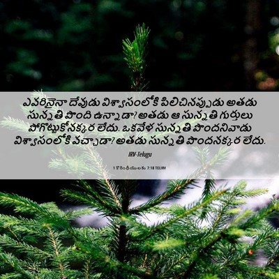 Picture 06 - 1 కొరింథీయులకు 7:18 TELIRV - ఎవరినైనా దేవుడు - Bible Verse Picture