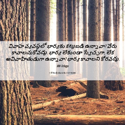 Picture 06 - 1 కొరింథీయులకు 7:27 TELIRV - వివాహ వ్యవస్థలో - Bible Verse Picture