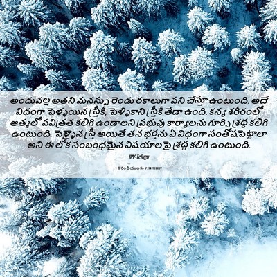 Picture 06 - 1 కొరింథీయులకు 7:34 TELIRV - అందువల్ల అతని - Bible Verse Picture