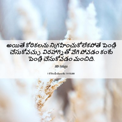 Picture 06 - 1 కొరింథీయులకు 7:9 TELIRV - అయితే కోరికలను - Bible Verse Picture