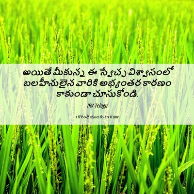 Picture 06 - 1 కొరింథీయులకు 8:9 TELIRV - అయితే మీకున్న ఈ - Bible Verse Picture