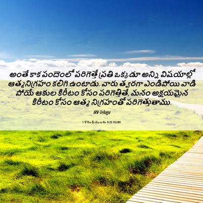Picture 06 - 1 కొరింథీయులకు 9:25 TELIRV - అంతే కాక పందెంలో - Bible Verse Picture