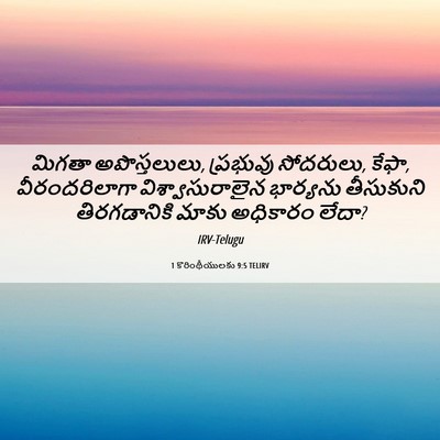 Picture 06 - 1 కొరింథీయులకు 9:5 TELIRV - మిగతా అపొస్తలులు, - Bible Verse Picture