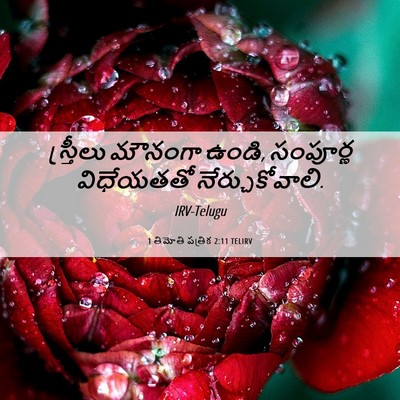 Picture 06 - 1 తిమోతి పత్రిక 2:11 TELIRV - స్త్రీలు మౌనంగా - Bible Verse Picture