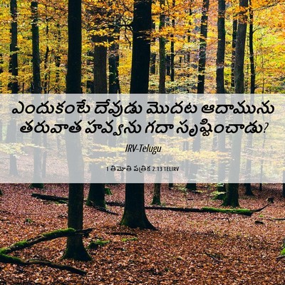 Picture 06 - 1 తిమోతి పత్రిక 2:13 TELIRV - ఎందుకంటే దేవుడు - Bible Verse Picture