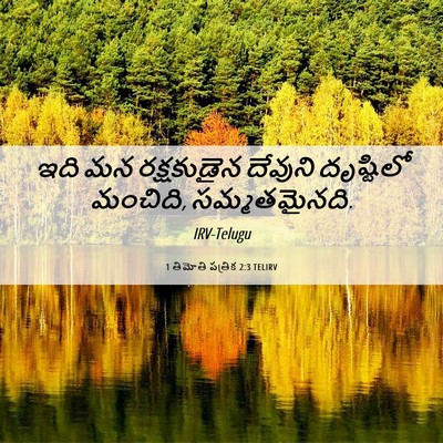 Picture 06 - 1 తిమోతి పత్రిక 2:3 TELIRV - ఇది మన రక్షకుడైన - Bible Verse Picture