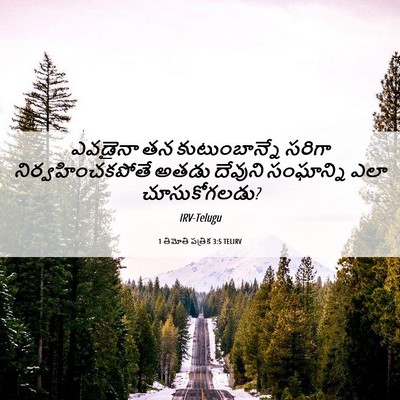 Picture 06 - 1 తిమోతి పత్రిక 3:5 TELIRV - ఎవడైనా తన - Bible Verse Picture
