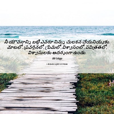 Picture 06 - 1 తిమోతి పత్రిక 4:12 TELIRV - నీ యౌవనాన్ని - Bible Verse Picture
